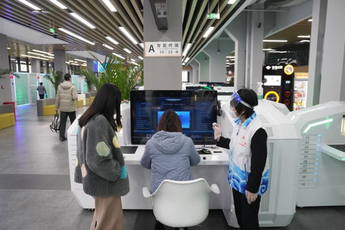 藍皮書 地方政府互聯網服務能力向好發展，彌合數字鴻溝是關鍵